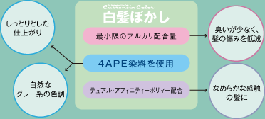 �����s�̔��e�@�j�����w���a�ٗ��e���x