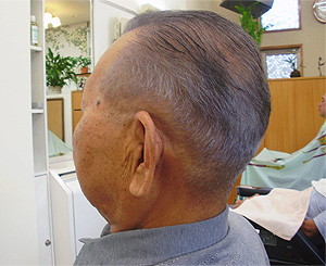 �헤����w�]���̗����X�u���a�ٗ��e���v