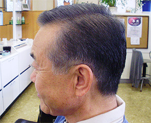 �헤����w�]���̗����X�u���a�ٗ��e���v