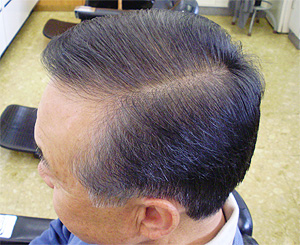 �헤����w�]���̗����X�u���a�ٗ��e���v